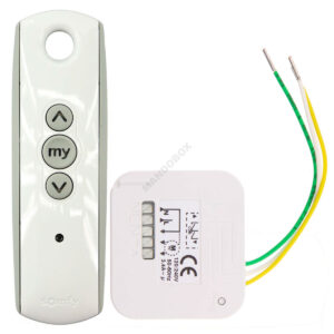 Récepteurs SOMFY Lighting RTS