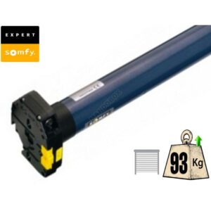 Antrieb SOMFY ORION S CSI 55/17