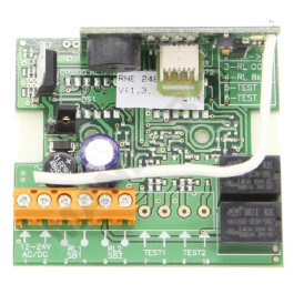 Receptor CLEMSA MUTANcode RE 248 U