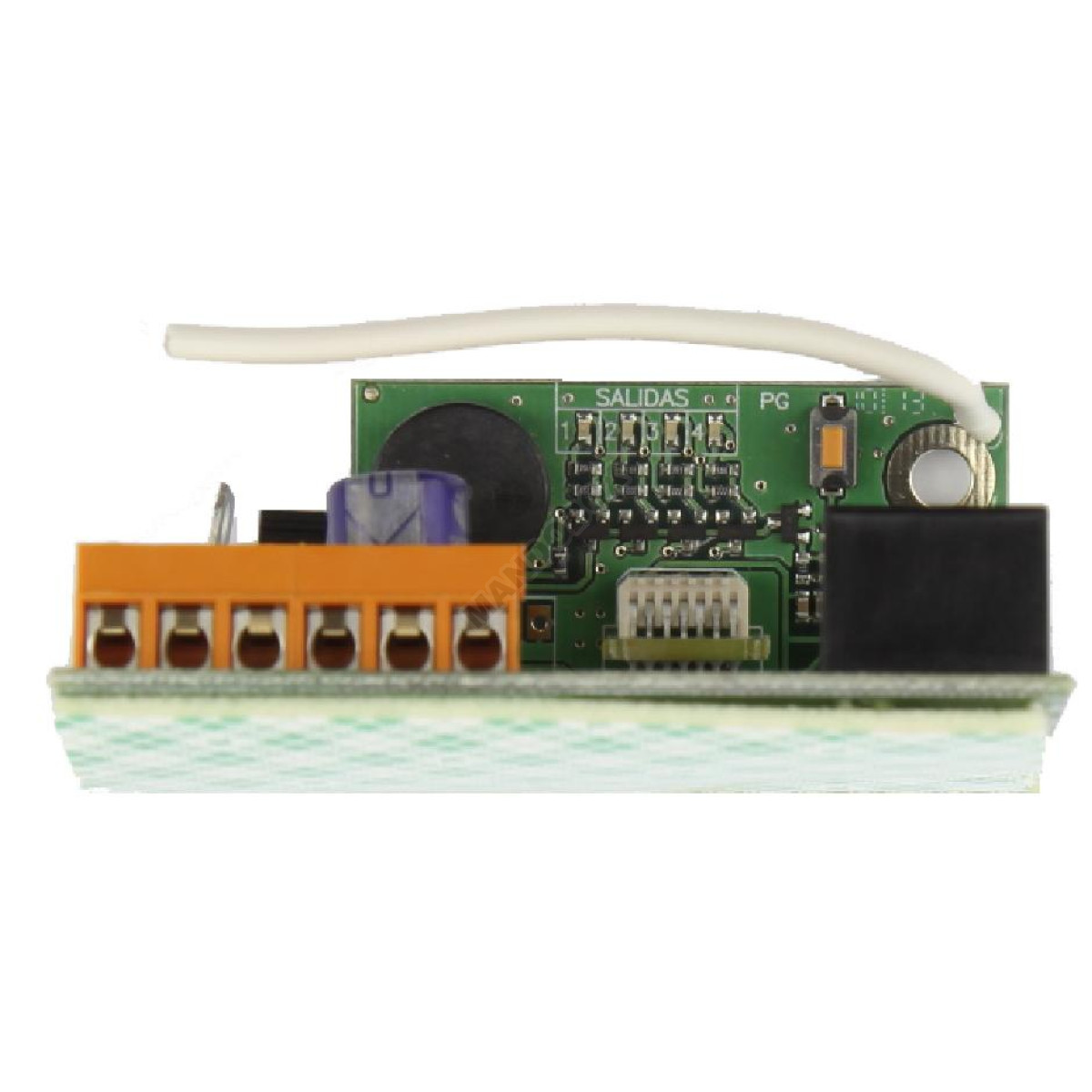 Receptor CLEMSA MUTANcode RE 248 U - Imagen 5