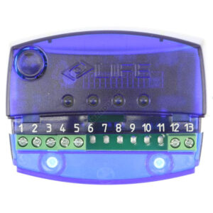 Récepteur LIFE EVER R1E